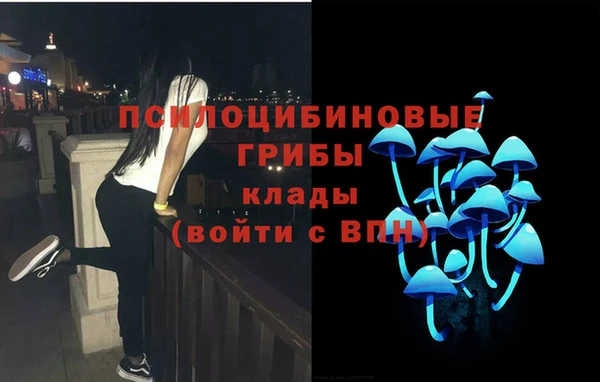 дурь Алексеевка
