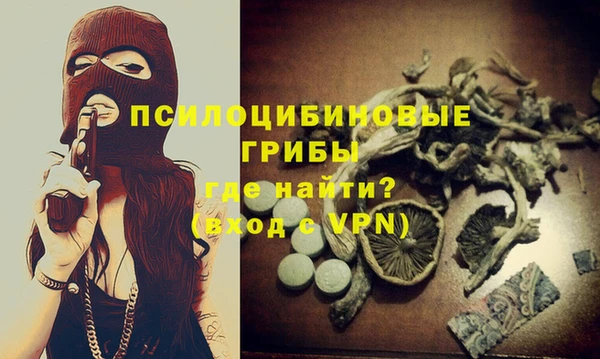 круглые Алзамай