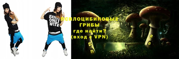 ECSTASY Алексин